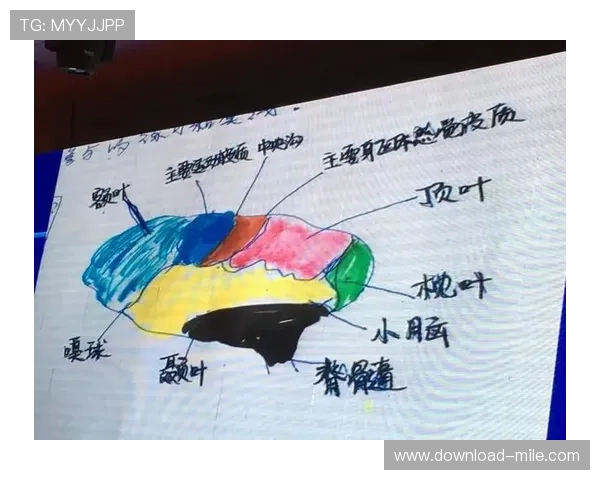 广州排球队选拔赛表现分析团队配合与战术执行的深度点评 广州排球队选拔赛表现分析团队配合与战术执行的深度点评