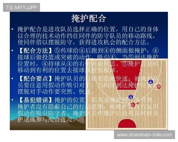 深入分析成都篮球队独特的进攻策略与战术特点