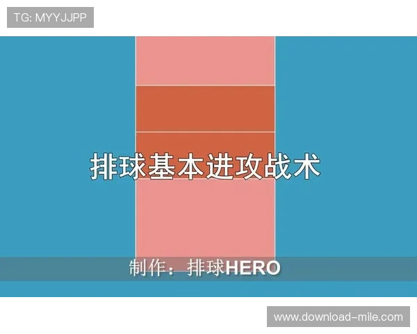 深圳排球队反击战术解析与实战应用探讨 深圳排球队反击战术解析与实战应用探讨